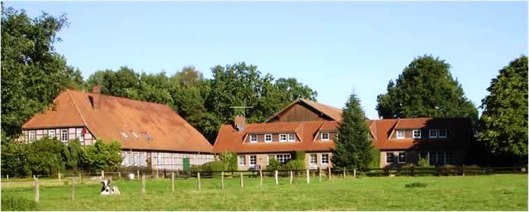 Frontansicht Reihenhäuser